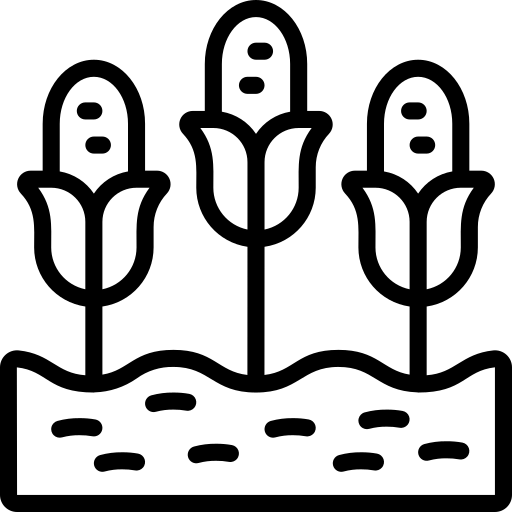 Parcels